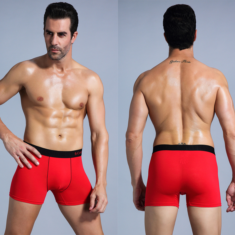 6pcs White Men Panties Cotton  - Boxer Brief Pack Cotton 评论和价格