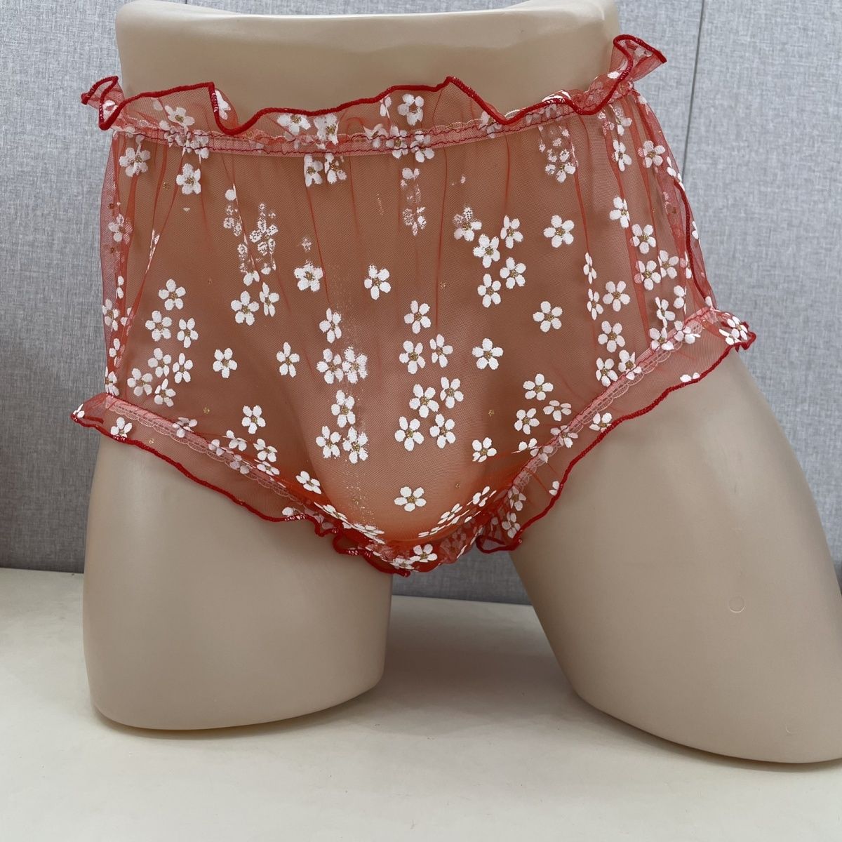 Mesh Men's Briefs Front Widene - Pouch Boxer Pouch 评论和价格