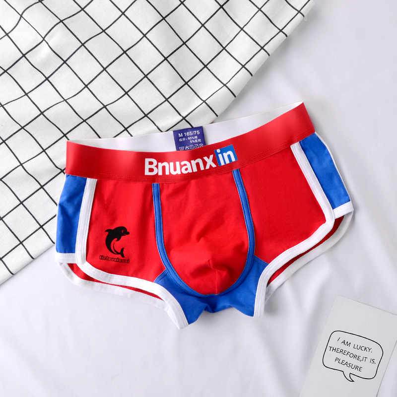 Man Underwear Fashion Youth Co - Boxer Brief Pack Cotton 评论和价格