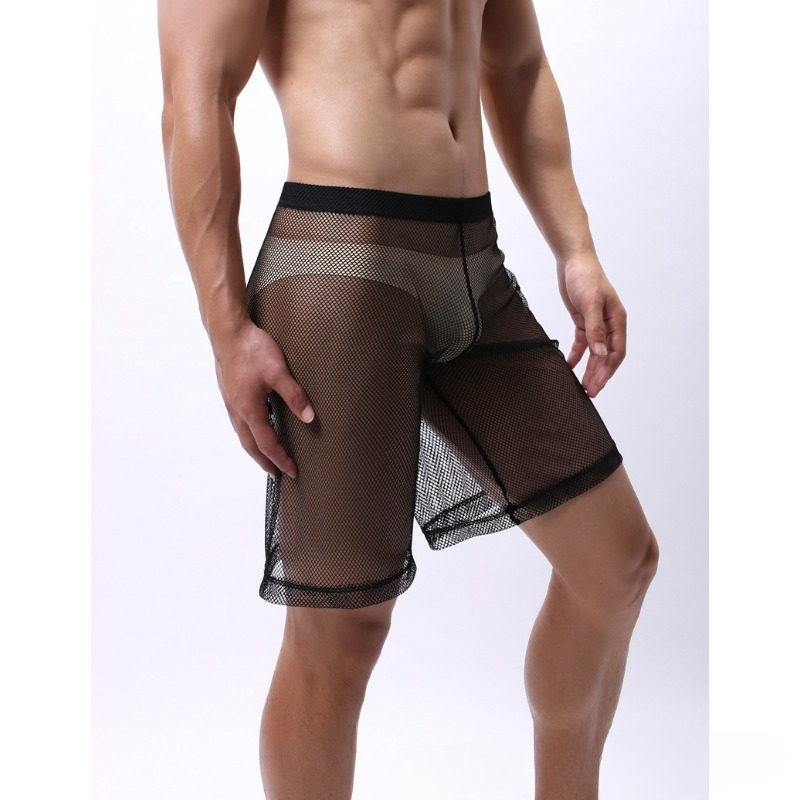 Low Rise Mesh Erotic Underwear - Pouch Boxer Pouch 评论和价格