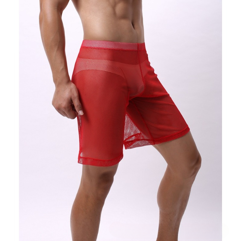 Low Rise Mesh Erotic Underwear - Pouch Boxer Pouch 评论和价格