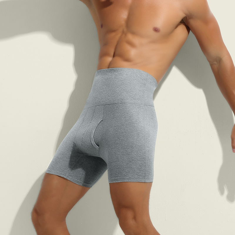 Men Underwear Cotton Boxers Sh - Boxer Brief Pack Cotton 评论和价格