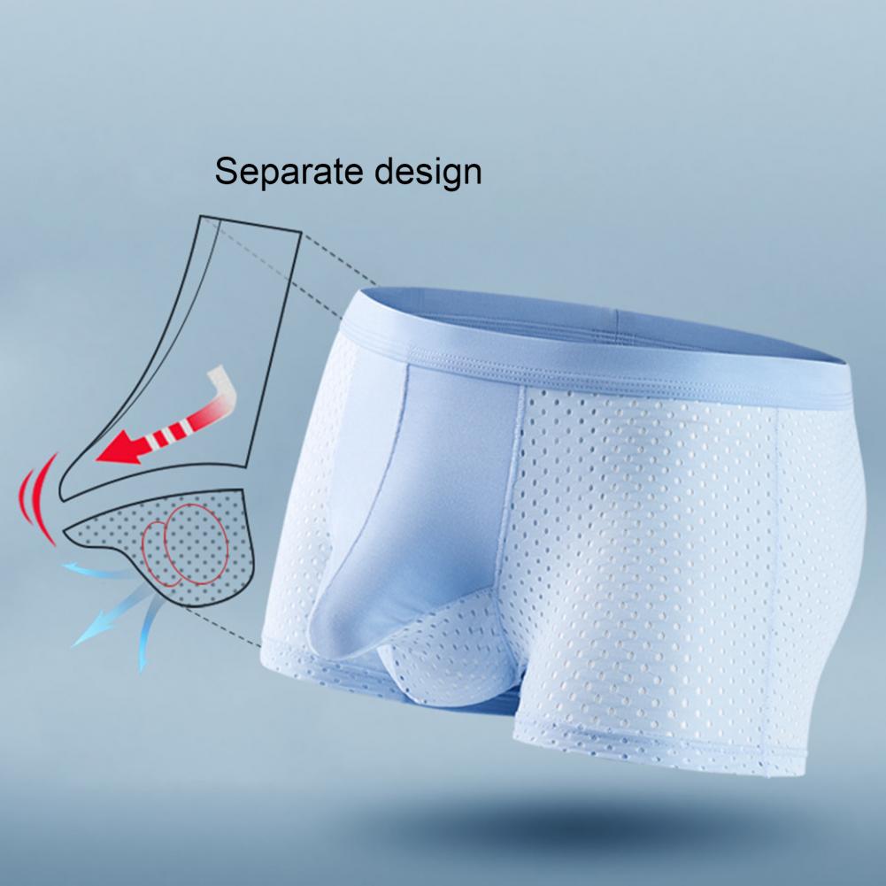 2025 M-3XL Men Boxers Elephant - Mesh Sport Boxer 评论和价格