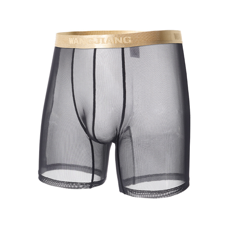 Wangjiang Men's Mesh Boxer Sho - Mesh Sport Boxer 评论和价格
