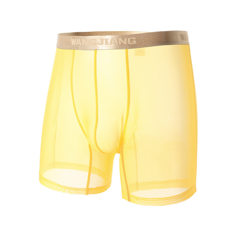 Wangjiang Men's Mesh Boxer Sho - Mesh Sport Boxer 评论和价格