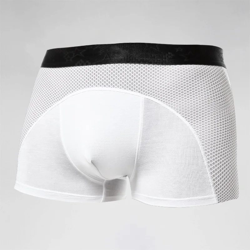 Men's underwear, men's ice sil - Mesh Sport Boxer 评论和价格